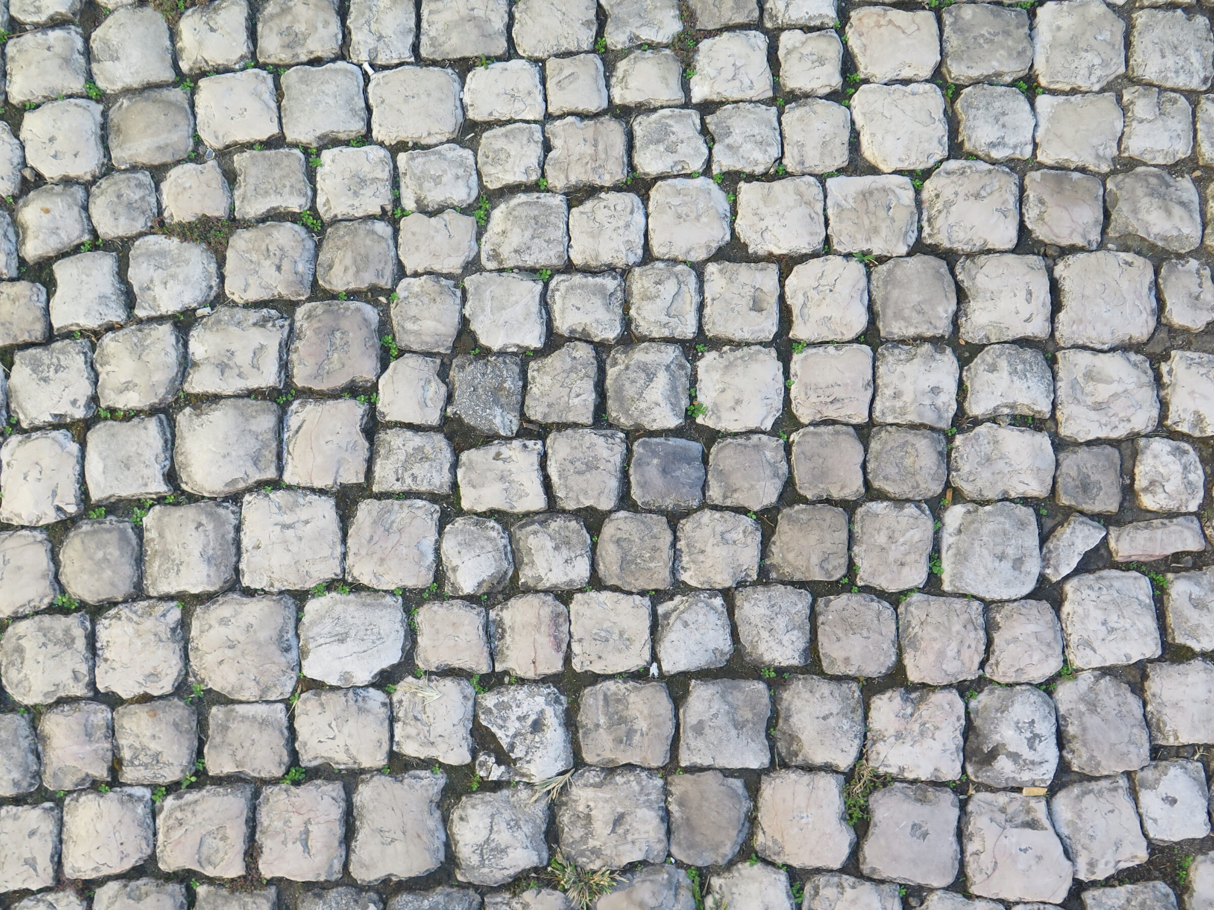 Close-up view of an old, weathered cobblestone pavement; irregularly shaped stones with grass peeking through the gaps, creating a rustic, historical texture.