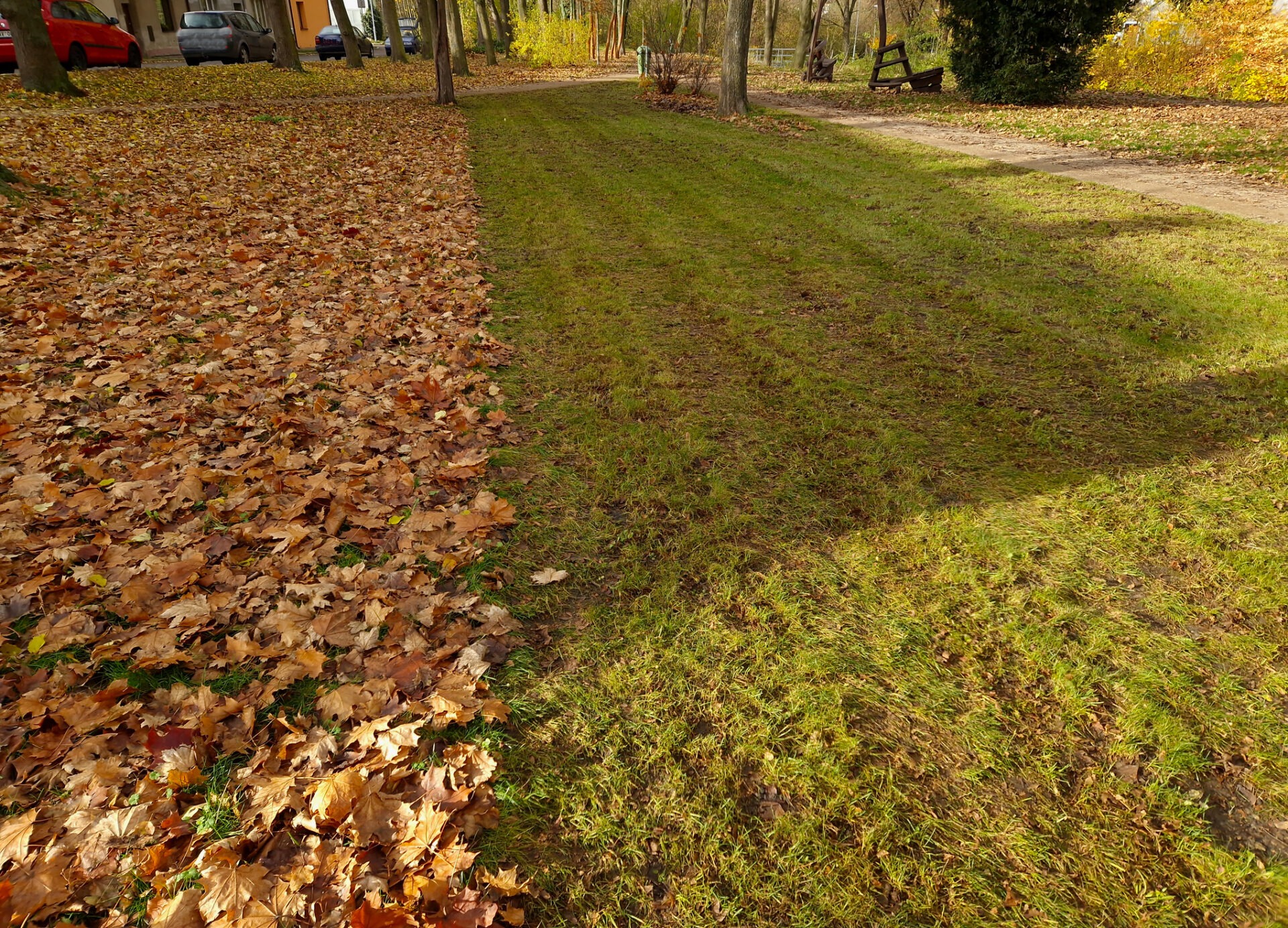 A neatly maintained path with fallen autumn leaves on one side under trees, parked cars visible near a building in the background.