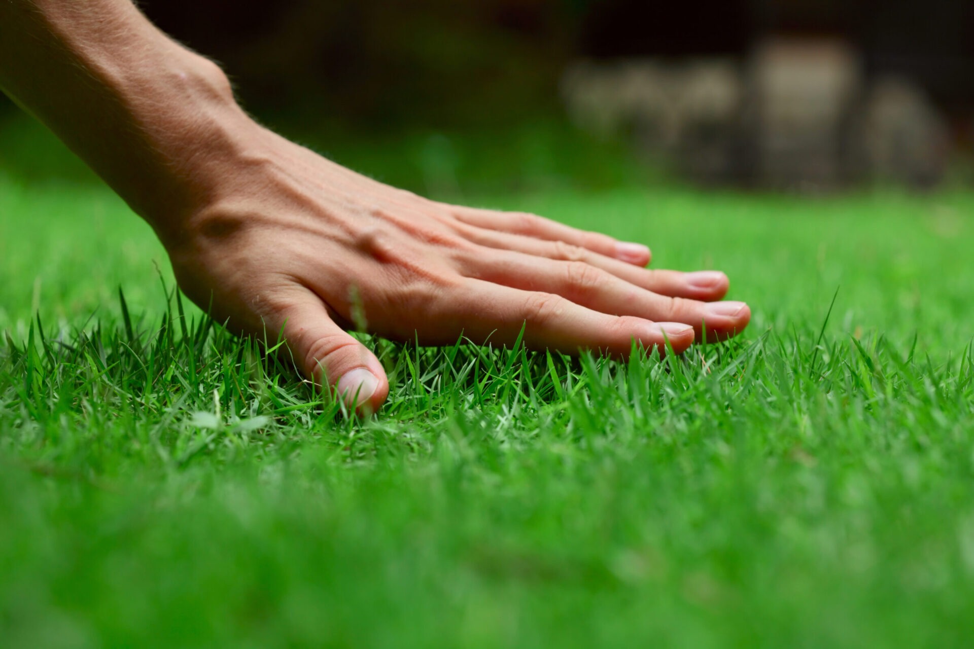 A person's hand gently touches a vibrant green lawn, highlighting the lushness and texture of the grass in an outdoor setting.