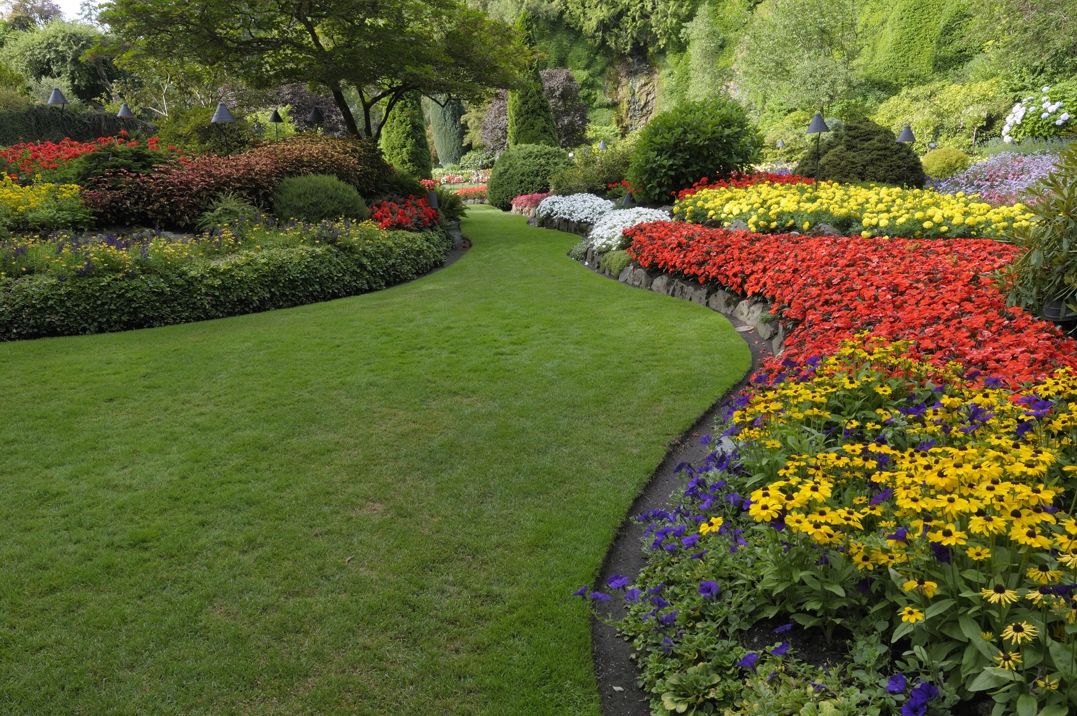 Colorful flower beds line a winding path in a manicured garden, surrounded by lush greenery and decorative shrubs. Bright and scenic landscape.