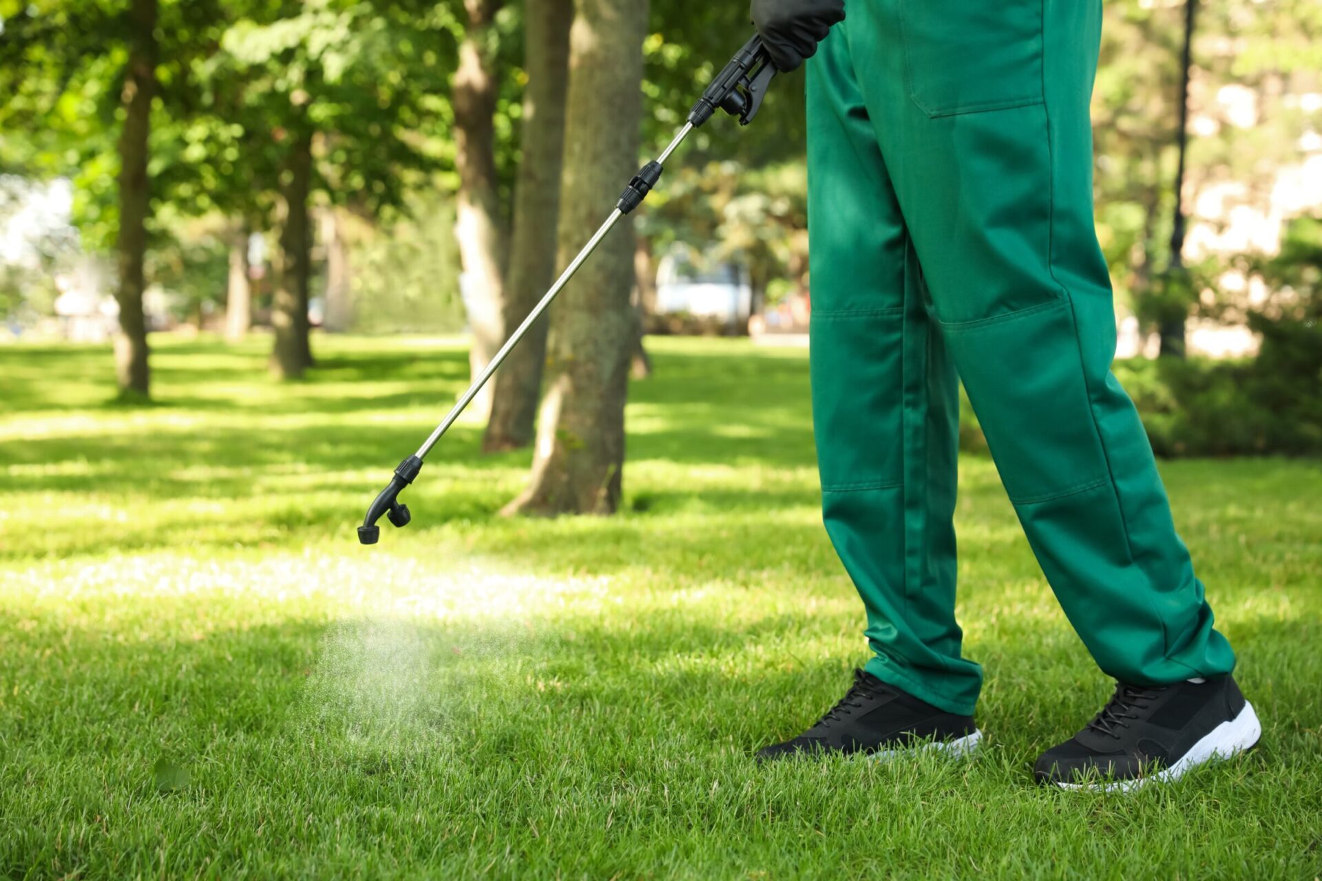 A person wearing green clothing spraying pesticide on grass in a sunlit park, surrounded by trees, with spray visible in the air.