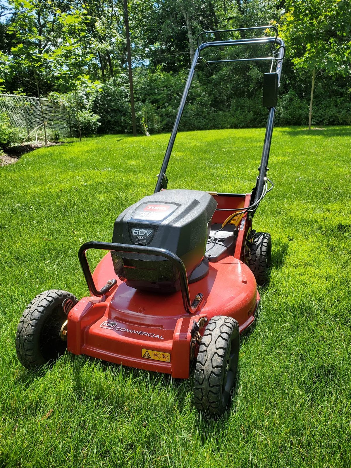 A red lawn mower on freshly cut green grass, surrounded by lush trees and a chain-link fence in a sunny backyard.