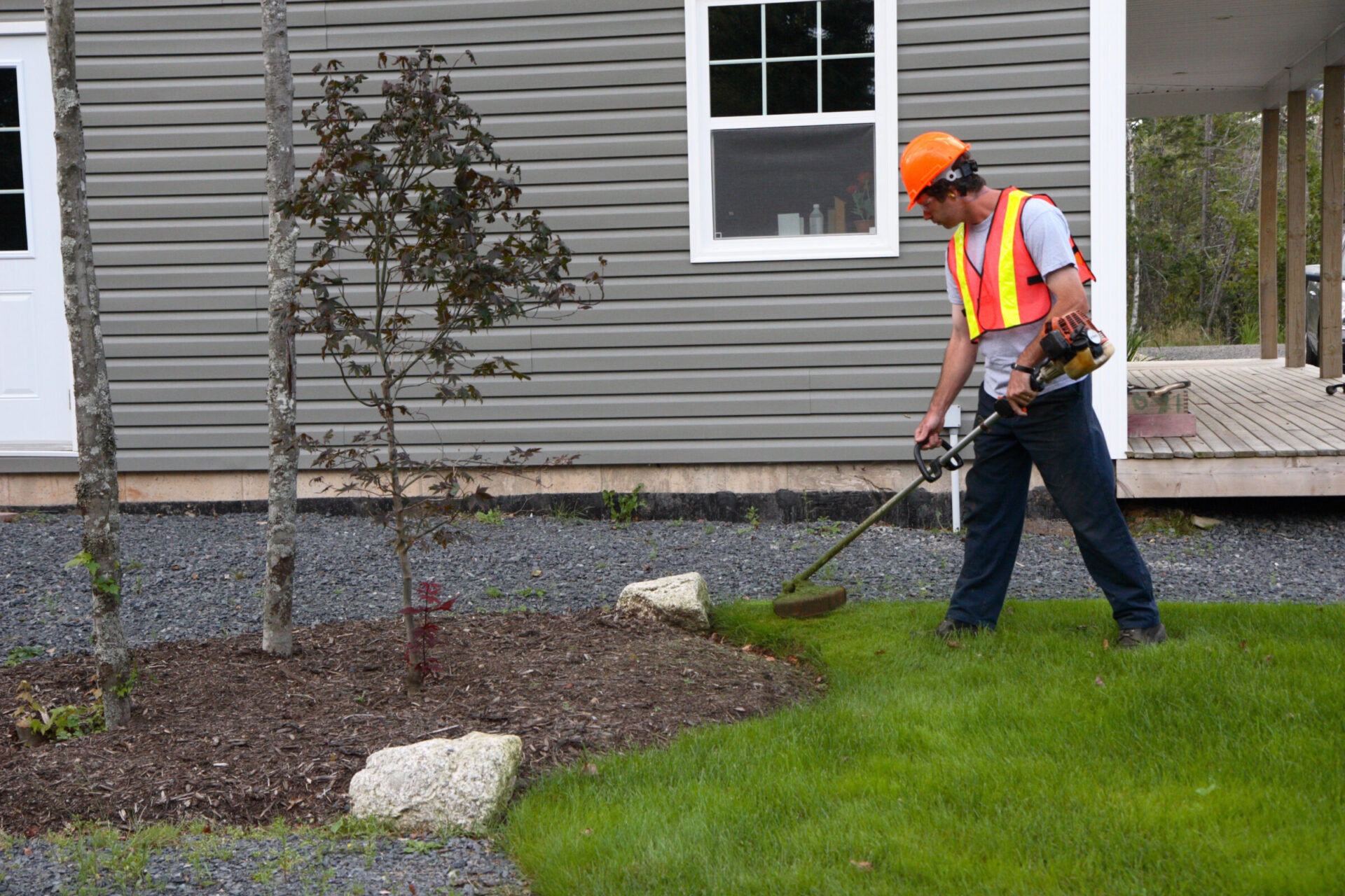 A person in safety gear trims grass near a house using a weed trimmer. The yard is neatly landscaped with mulch and trees.