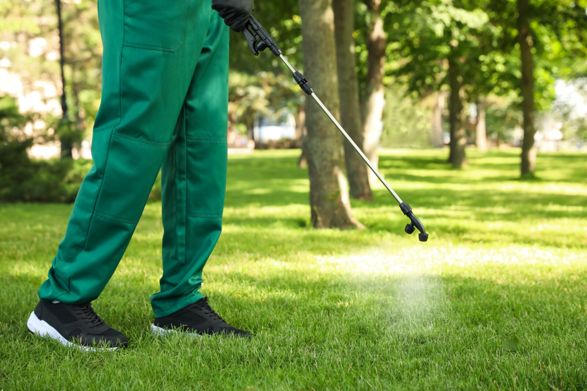 A person in green pants sprays a lawn with a hose in a sunny park, surrounded by trees and lush grass.