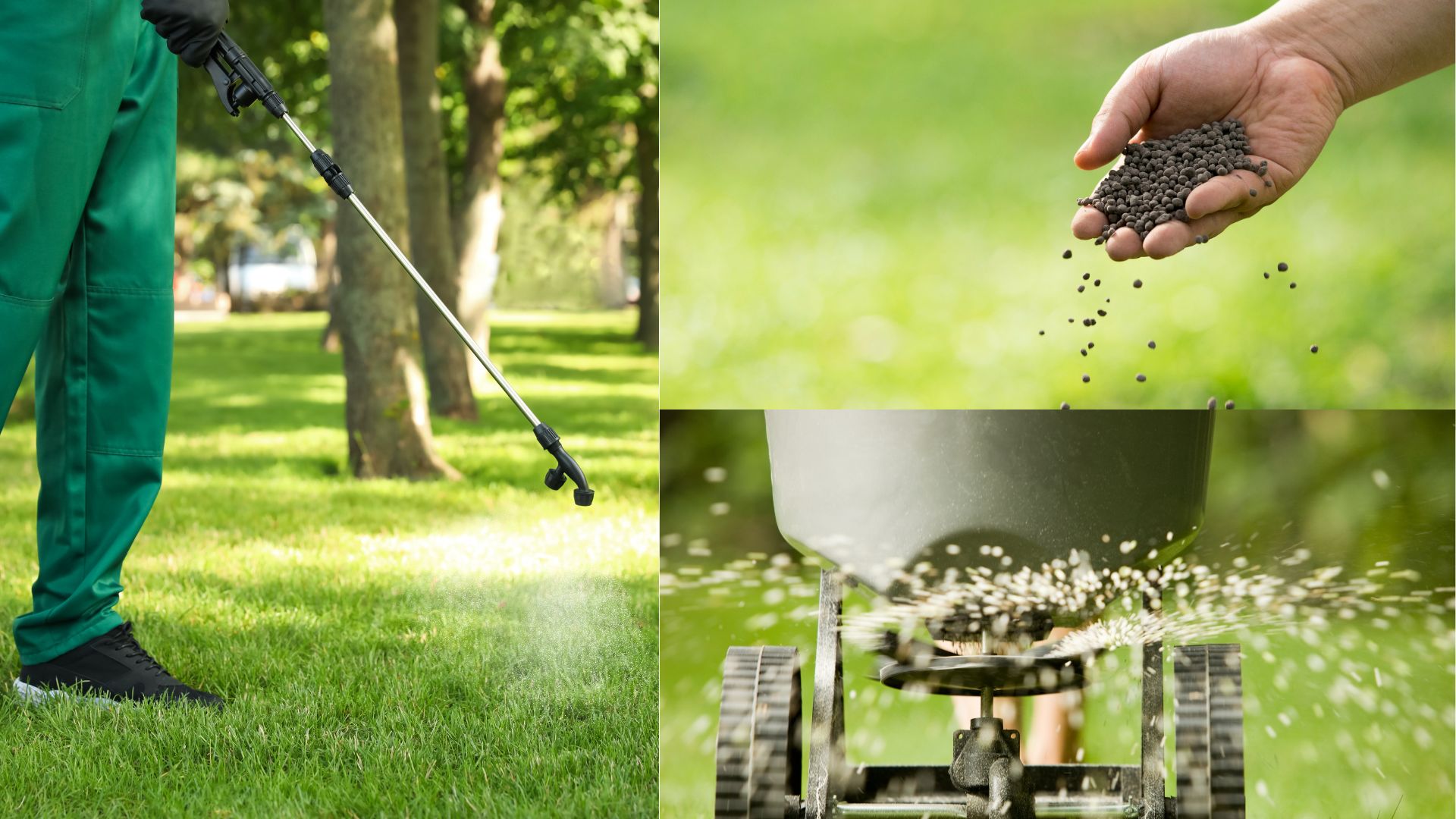 A person in green overalls sprays lawn, holds fertilizer, and uses a spreader for grass maintenance in a sunny, tree-lined park.