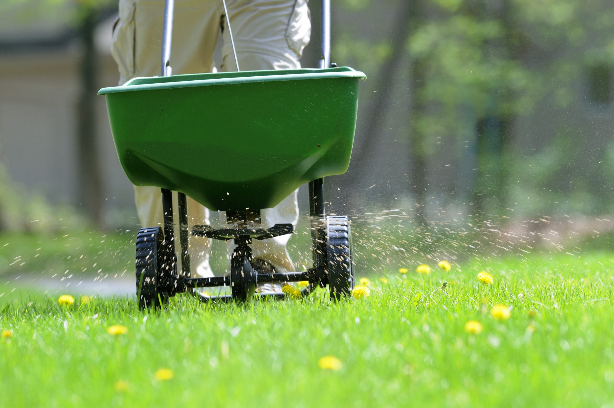 Lawn weed and feed